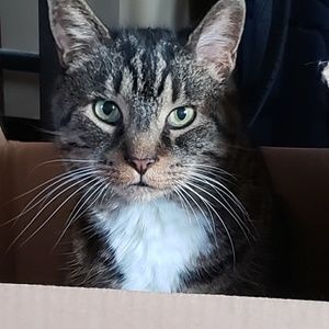 Meet your Posher, Candace